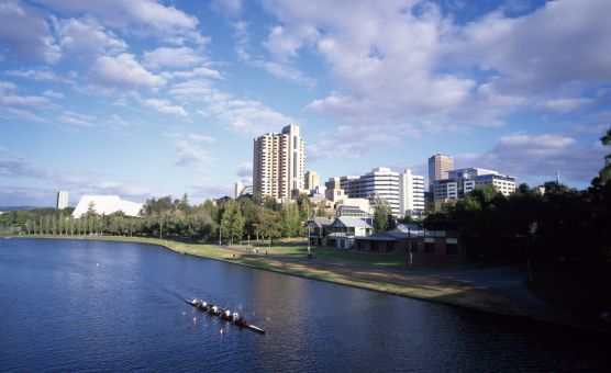 SEO Services in Adelaide