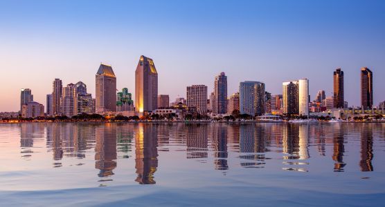 California SEO Results
