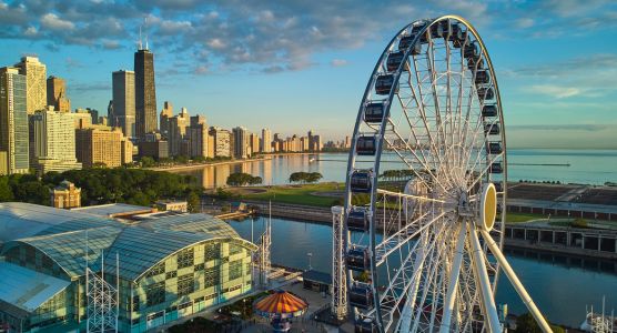 Chicago SEO Results