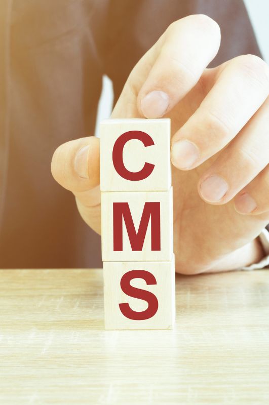 Content Management System (CMS) Development