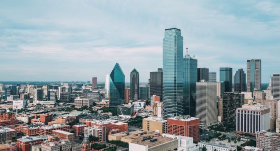Dallas SEO Results
