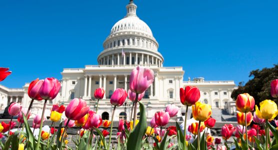 Washington DC SEO Experts